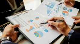 Ekonomické expertízy