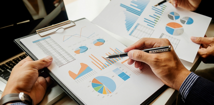 Ekonomické expertízy