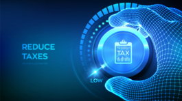 Daňová optimalizace