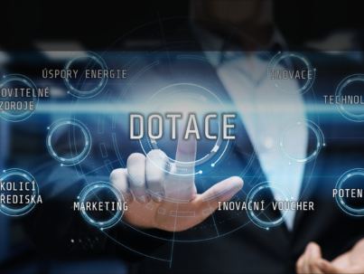 Dotace v podnikání