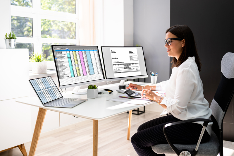 ucetni-pouzivajici-software-na-pocitaci